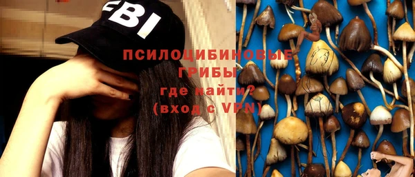 метадон Абаза