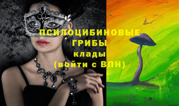 мяу мяу мука Абинск